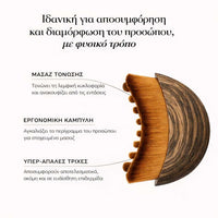 Slovakia lymphatic brush