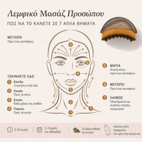 Slovakia lymphatic brush