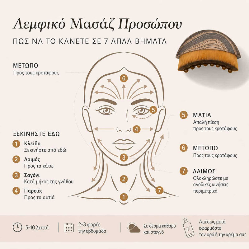 Slovakia lymphatic brush